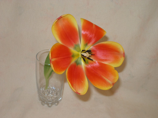 423970 (a): :1600x1200